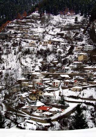 img (3)